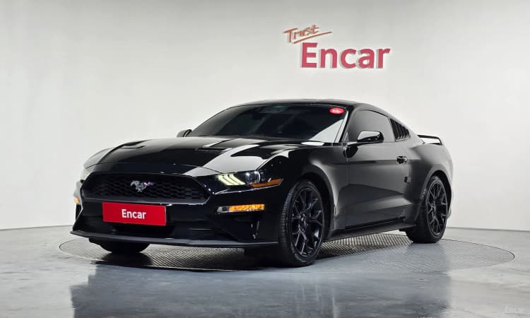 Mustang