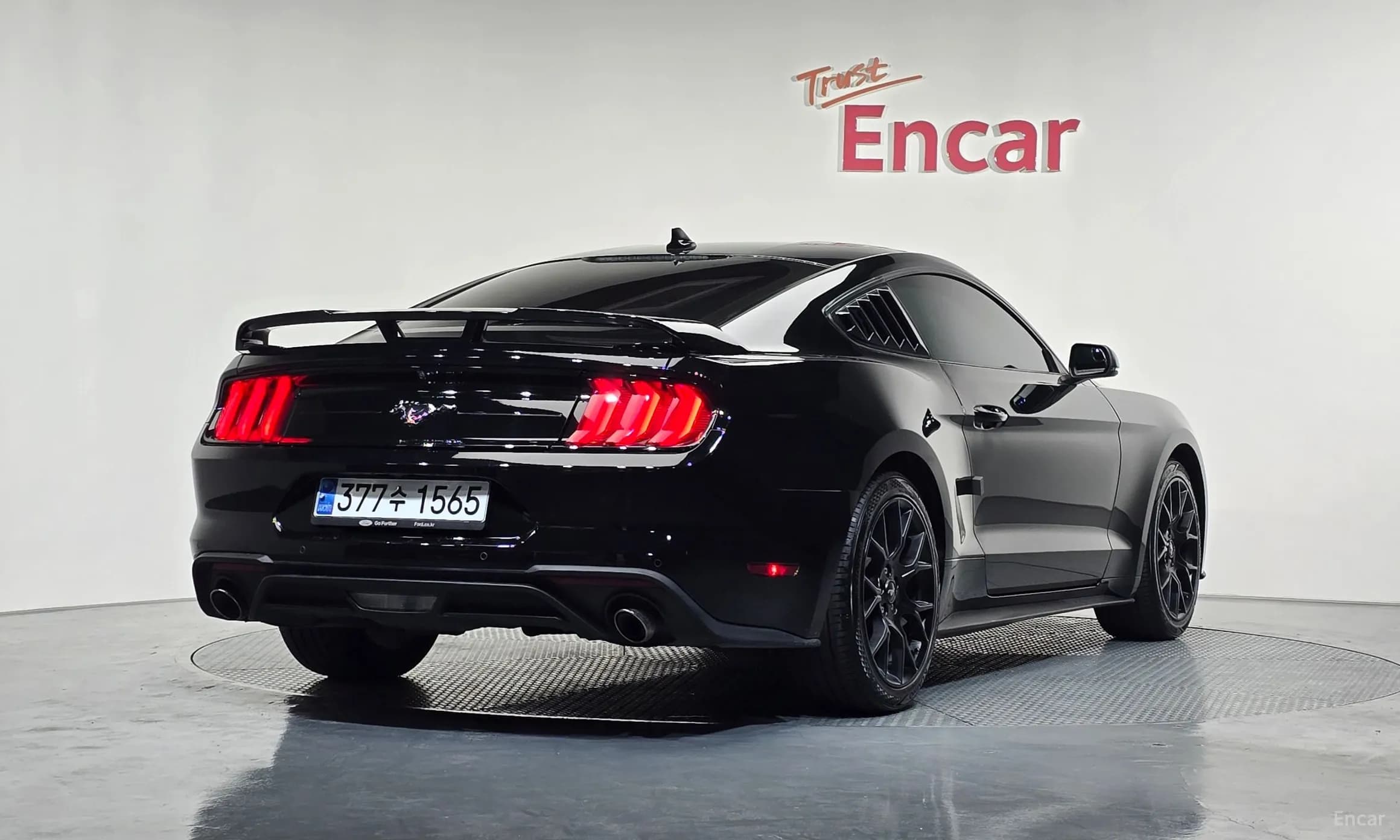 Mustang