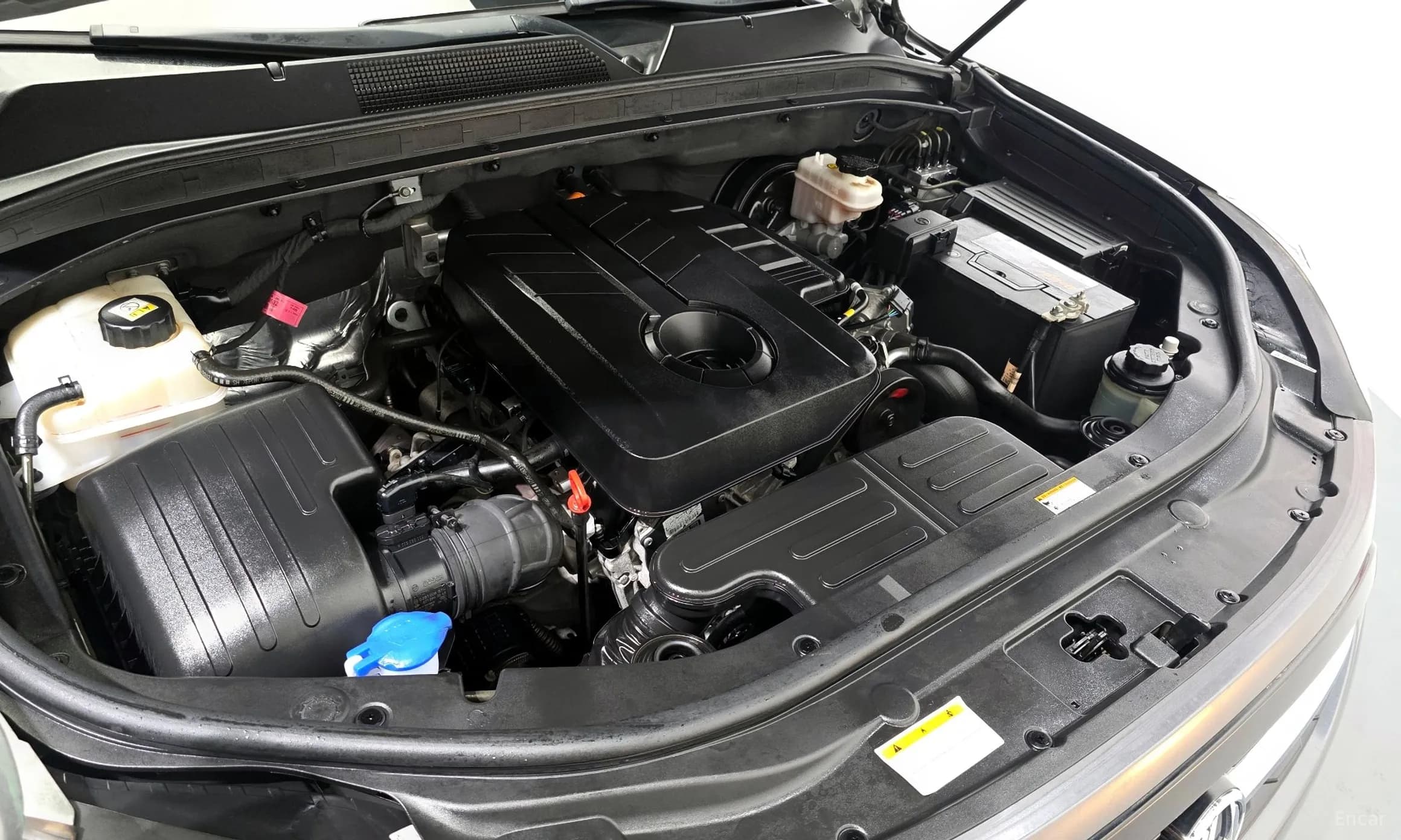 Rexton Sports