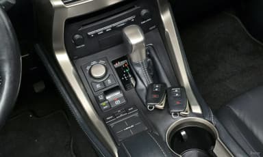 NX300h