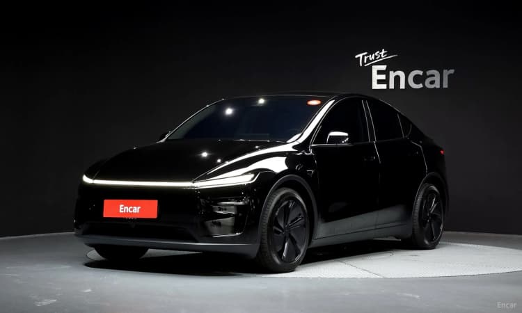 Model Y
