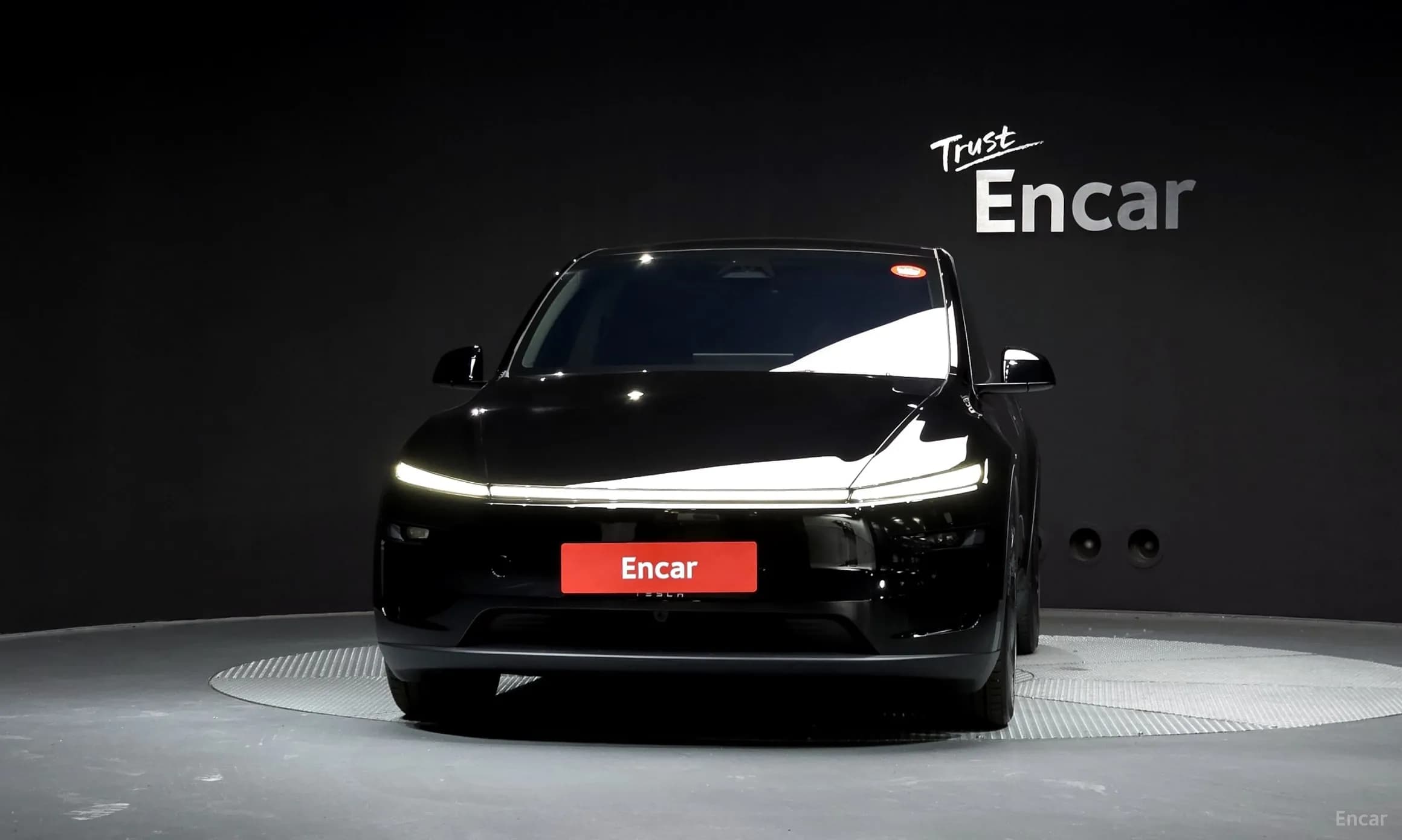 Model Y