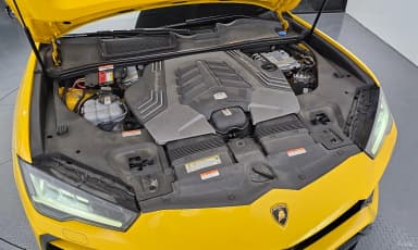 Urus