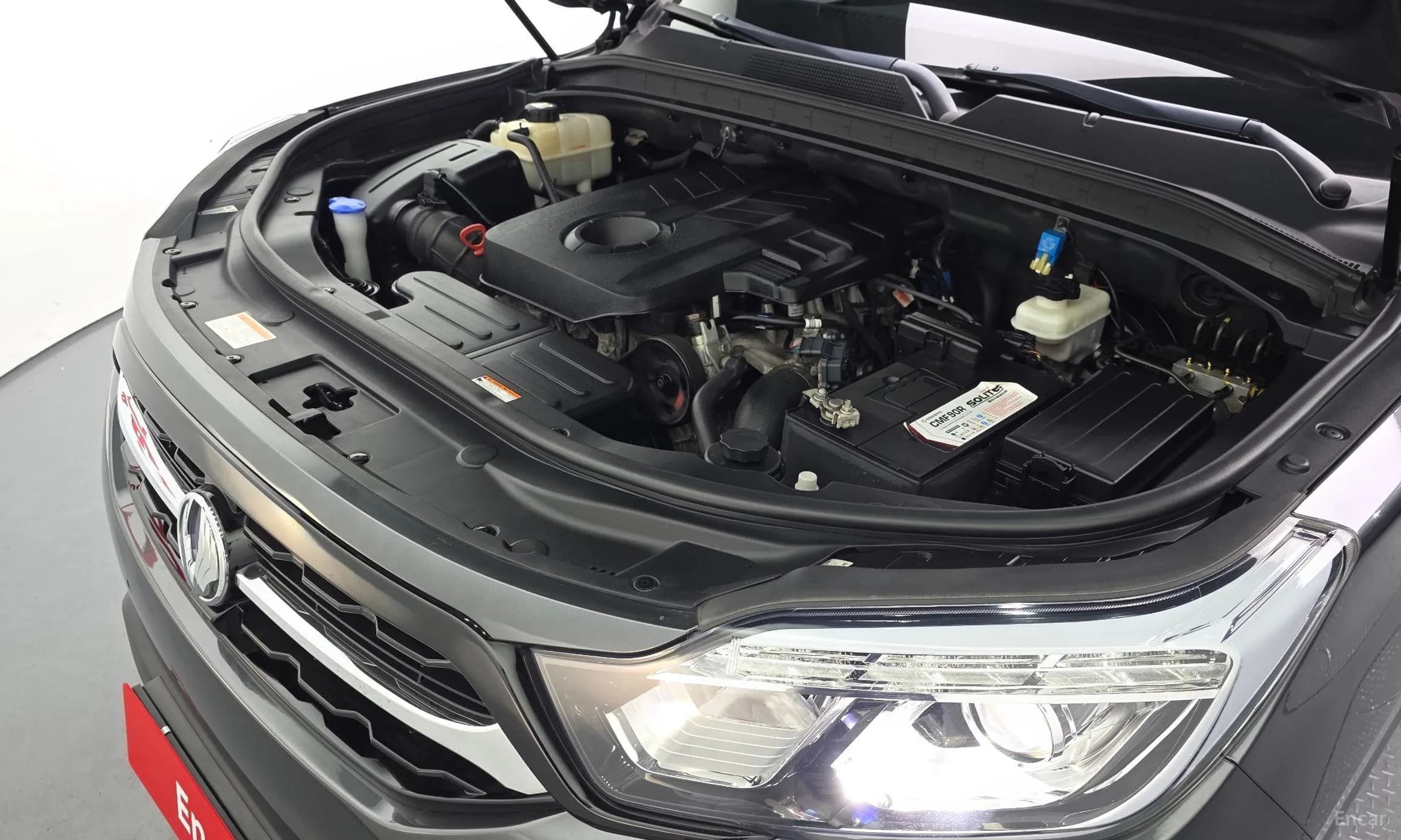 Rexton Sports