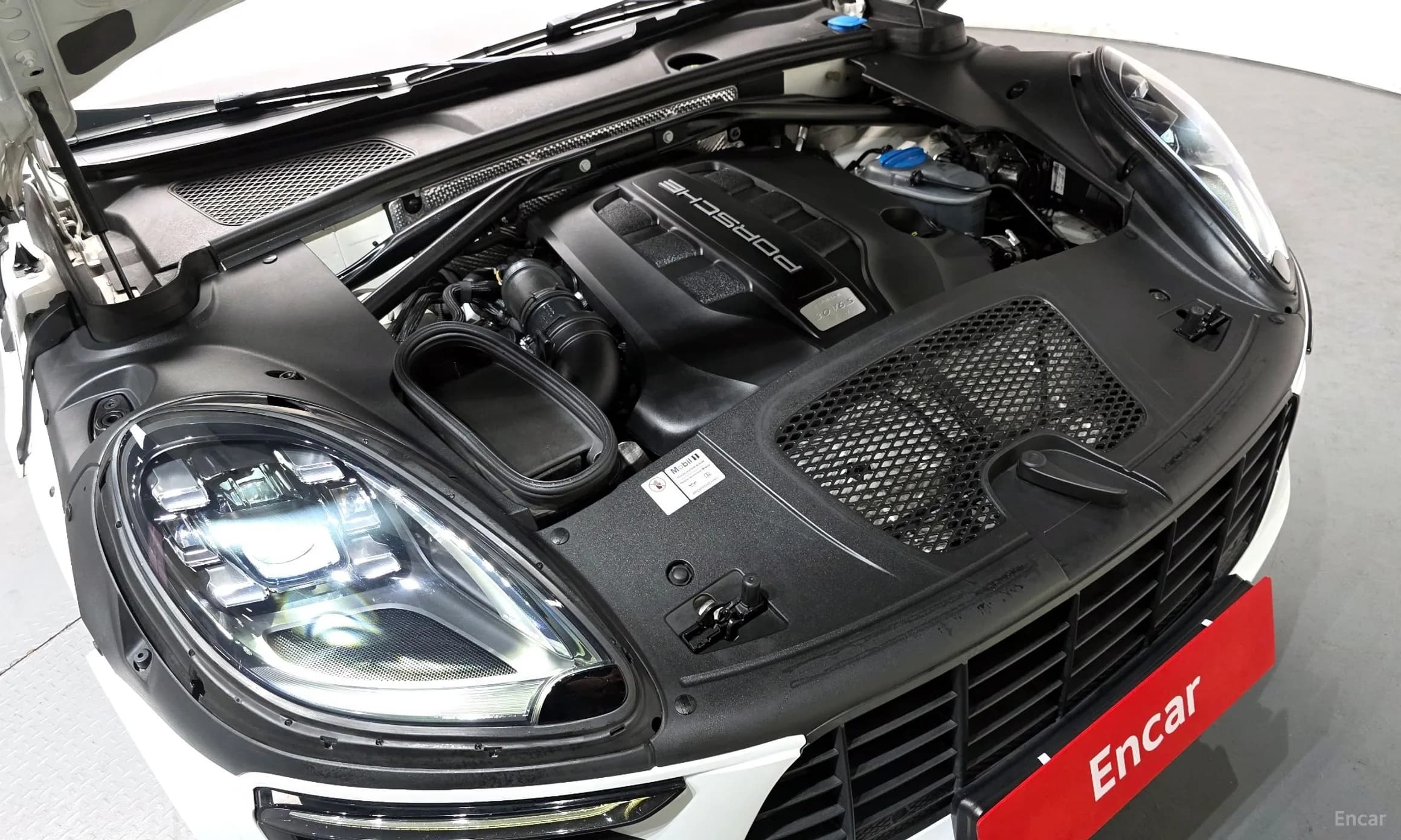 Macan