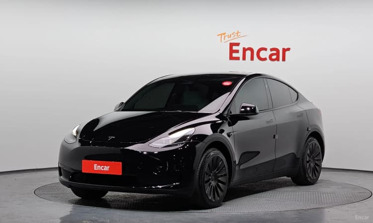 Model Y