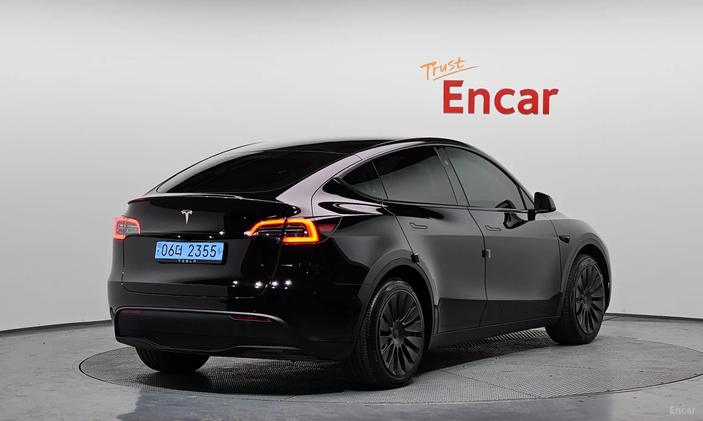 Model Y