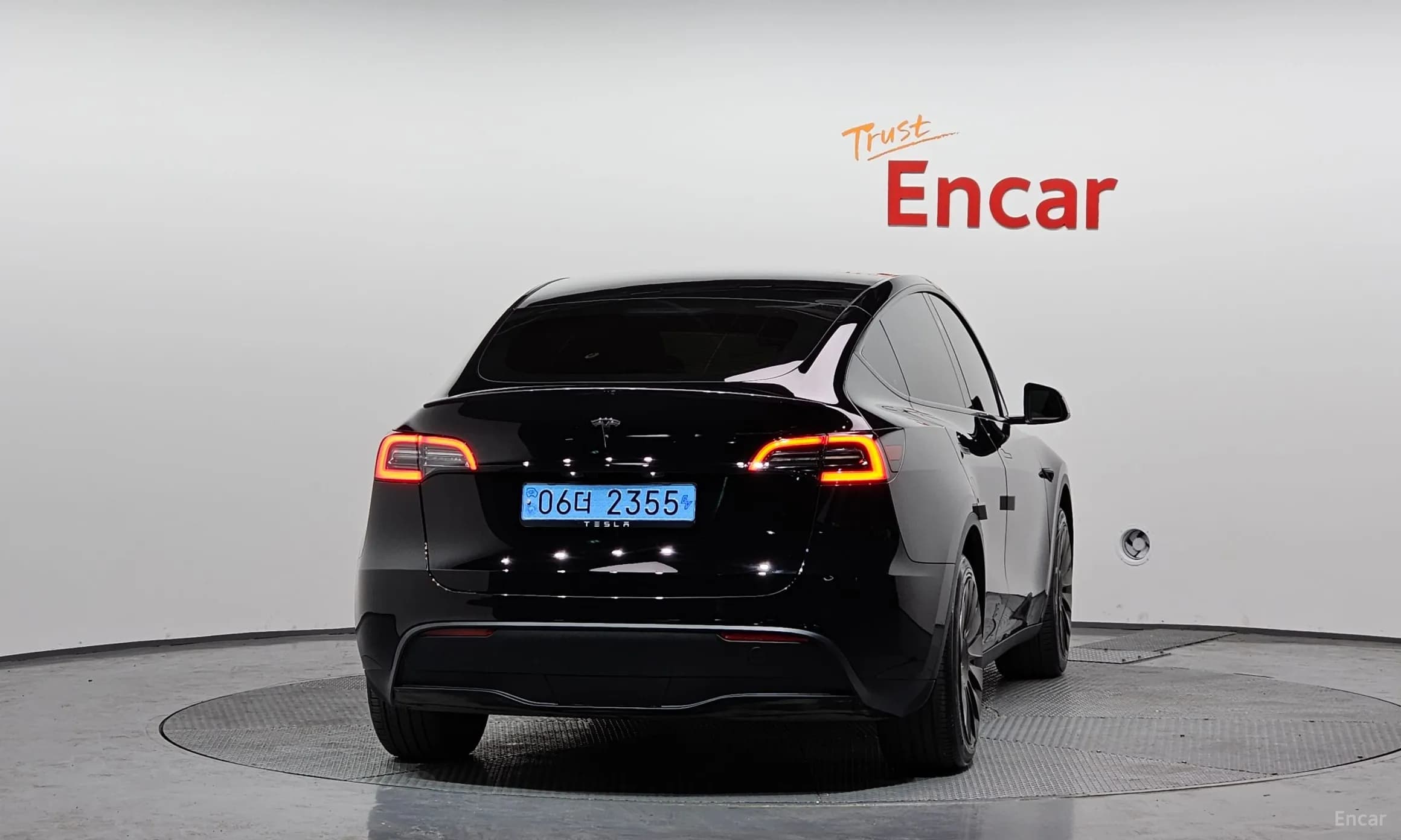 Model Y
