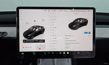 Model Y