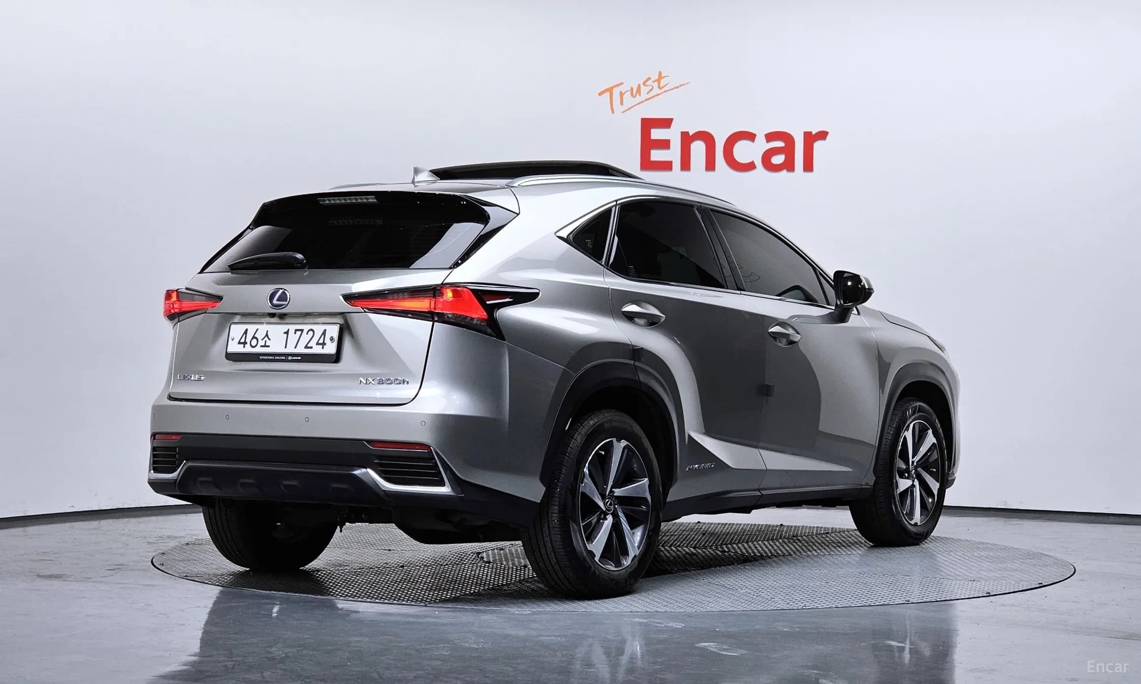 NX300h