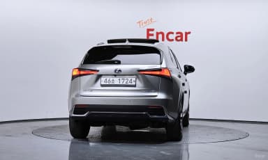 NX300h