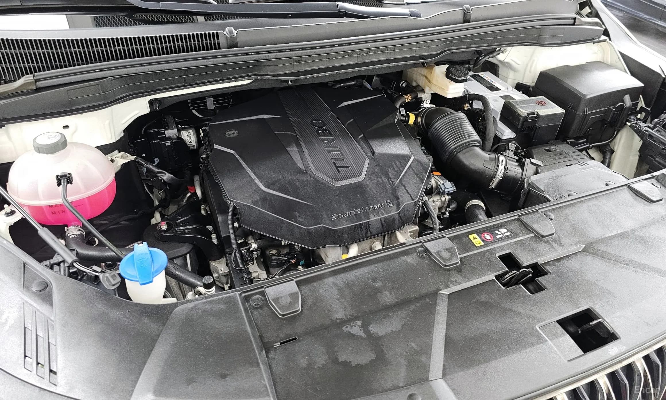 Carnival Gen 4