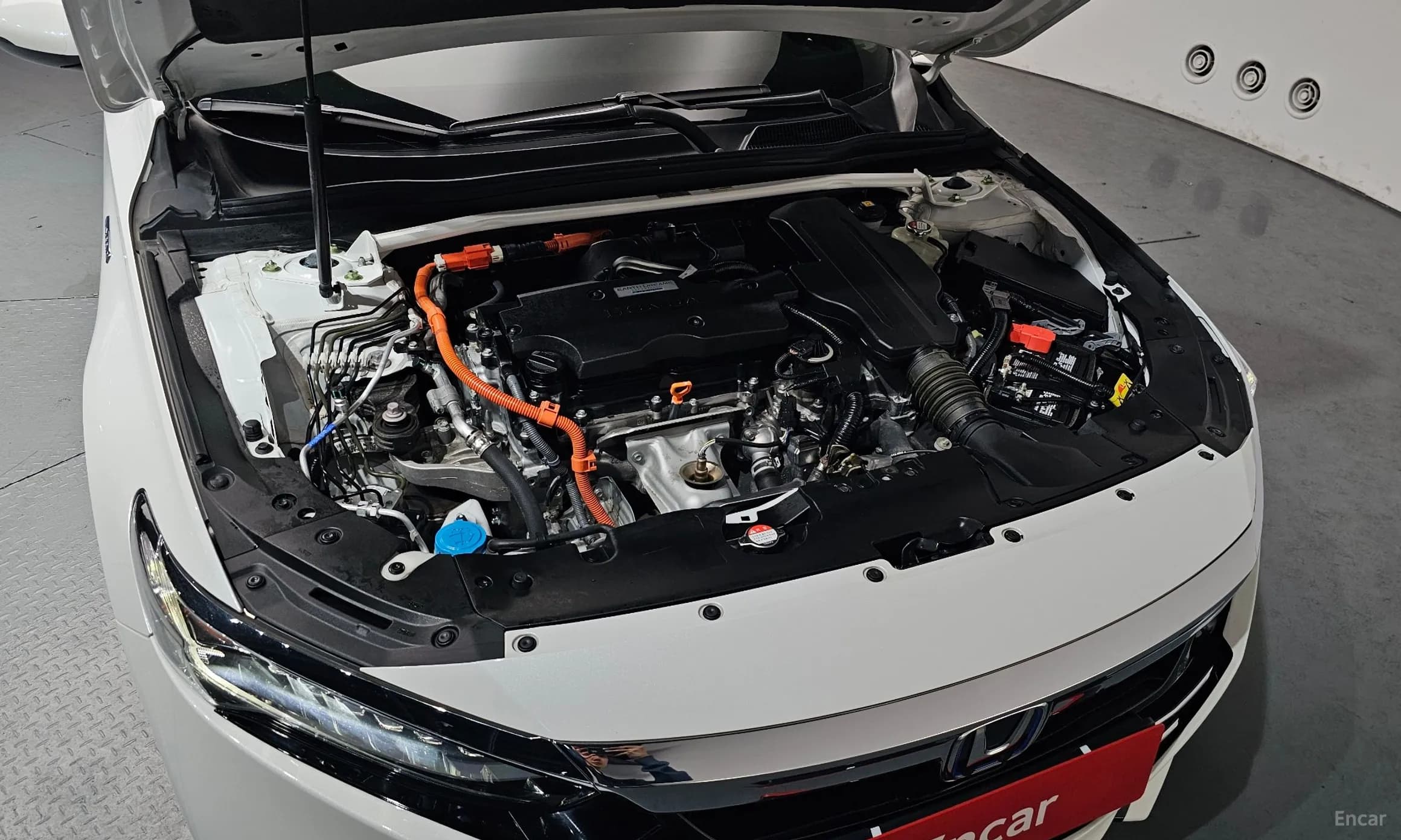 Accord 10th Generation