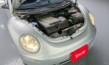 New Beetle