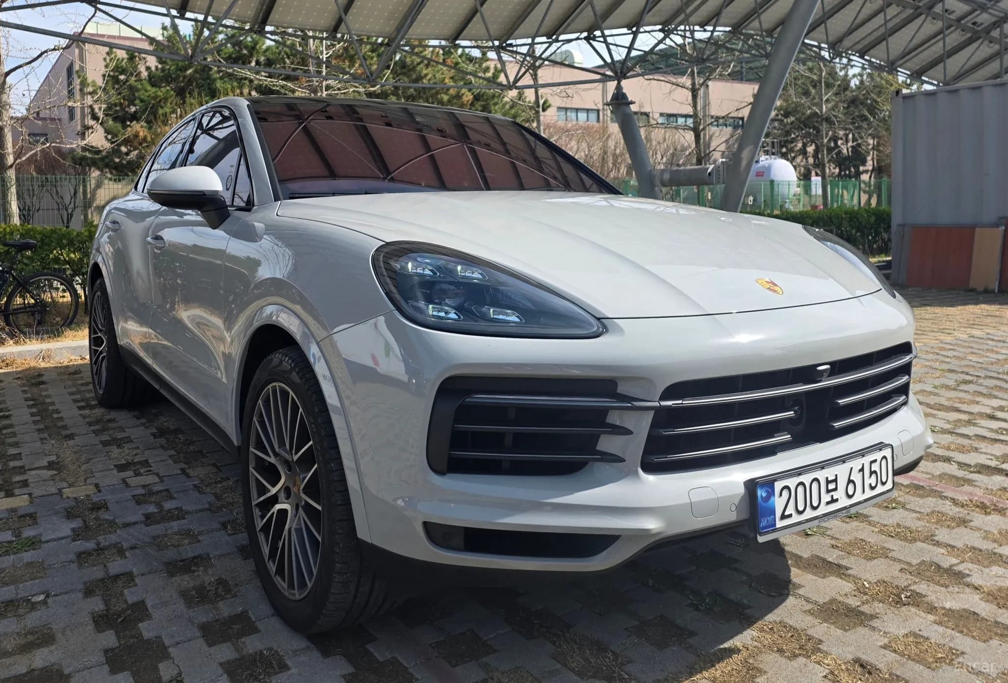 Cayenne (PO536)