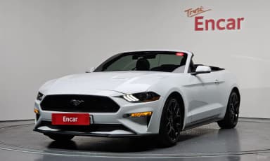 Mustang