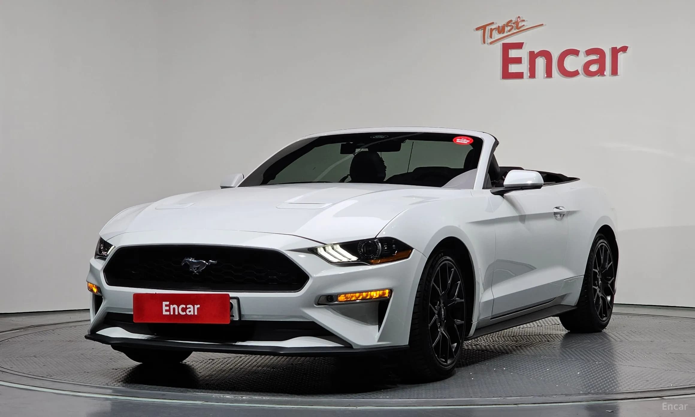 Mustang