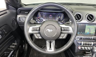 Mustang