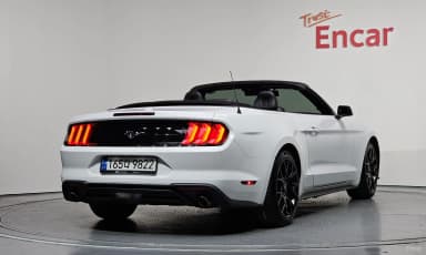 Mustang