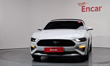 Mustang