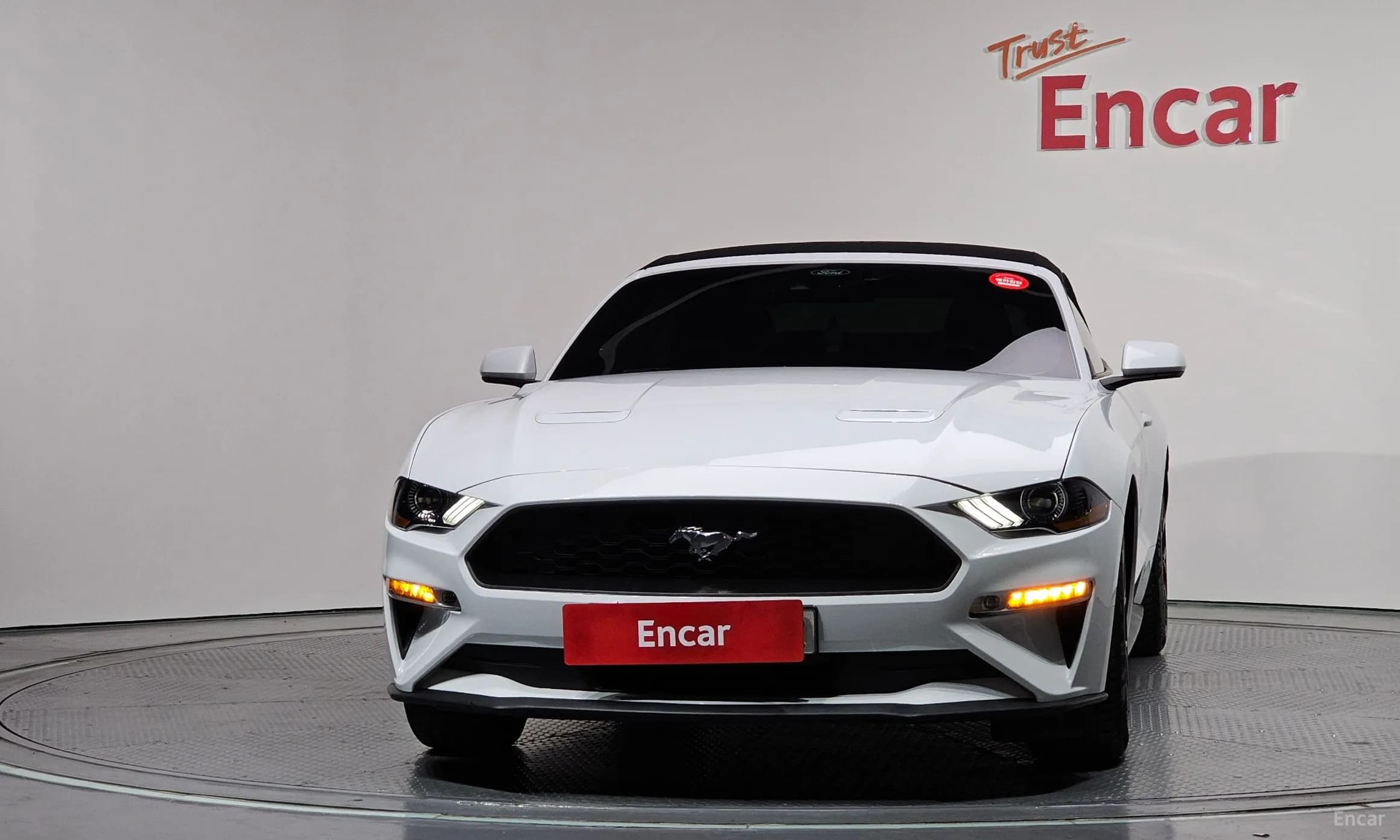 Mustang