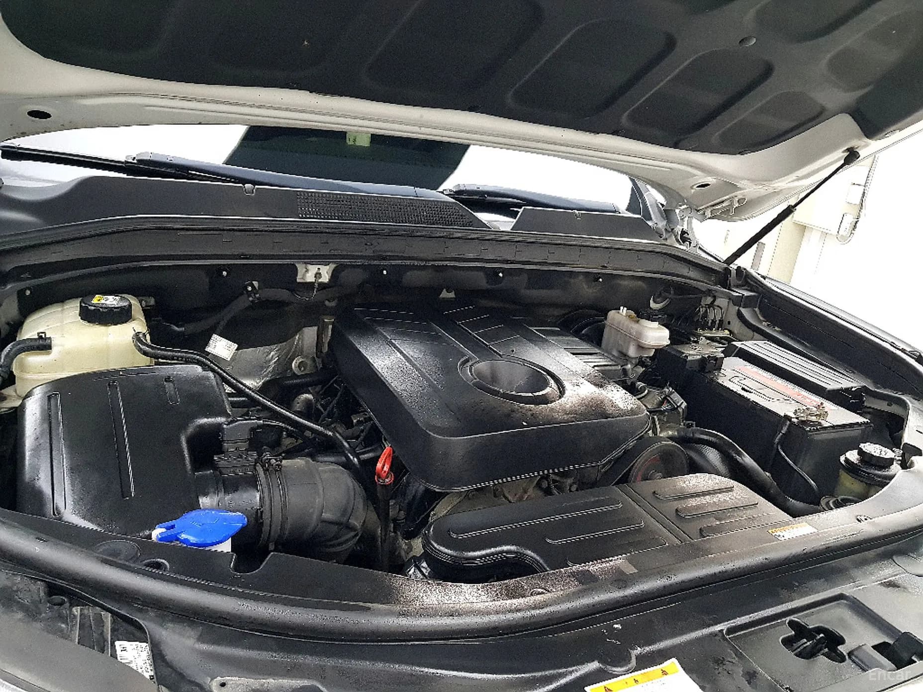 Rexton Sports