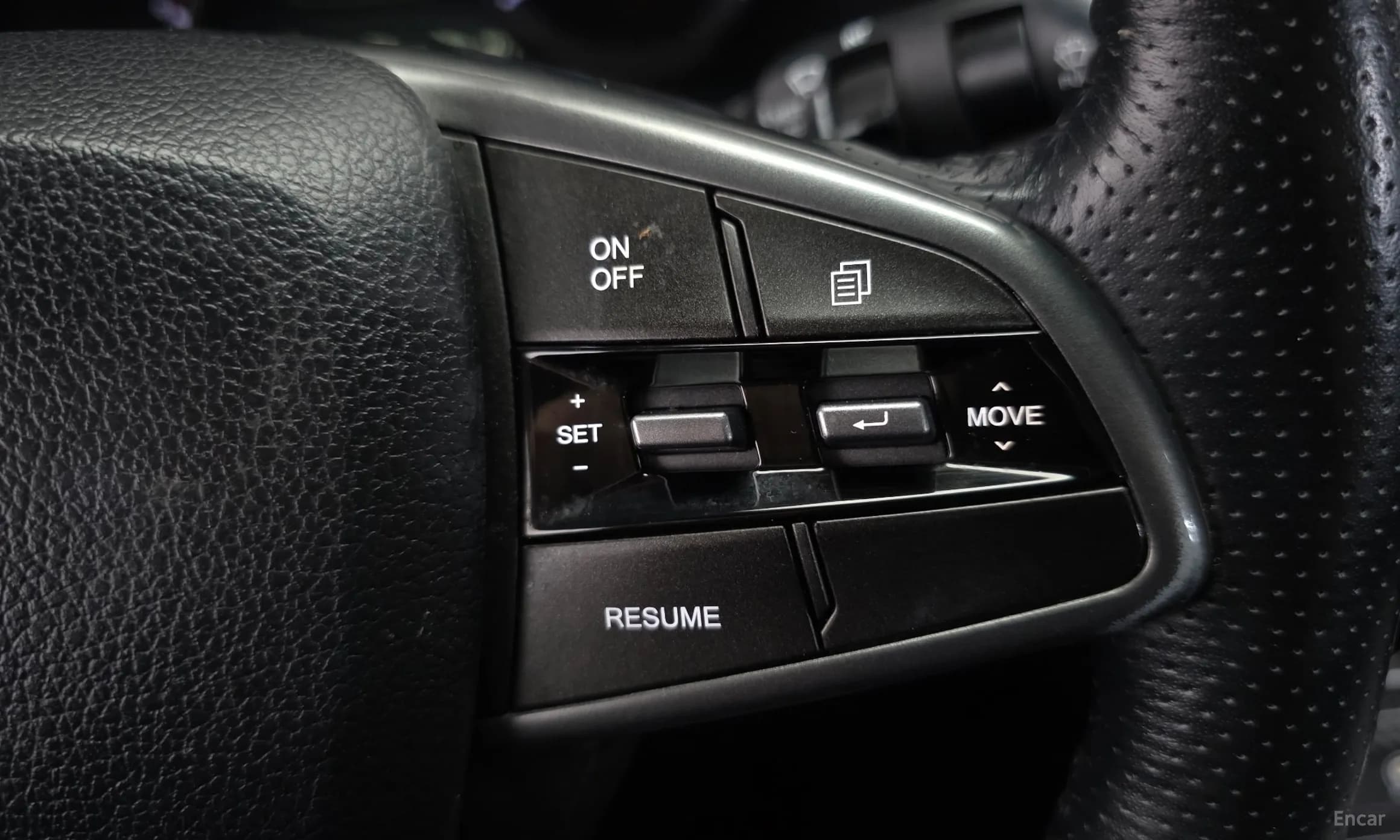Rexton Sports