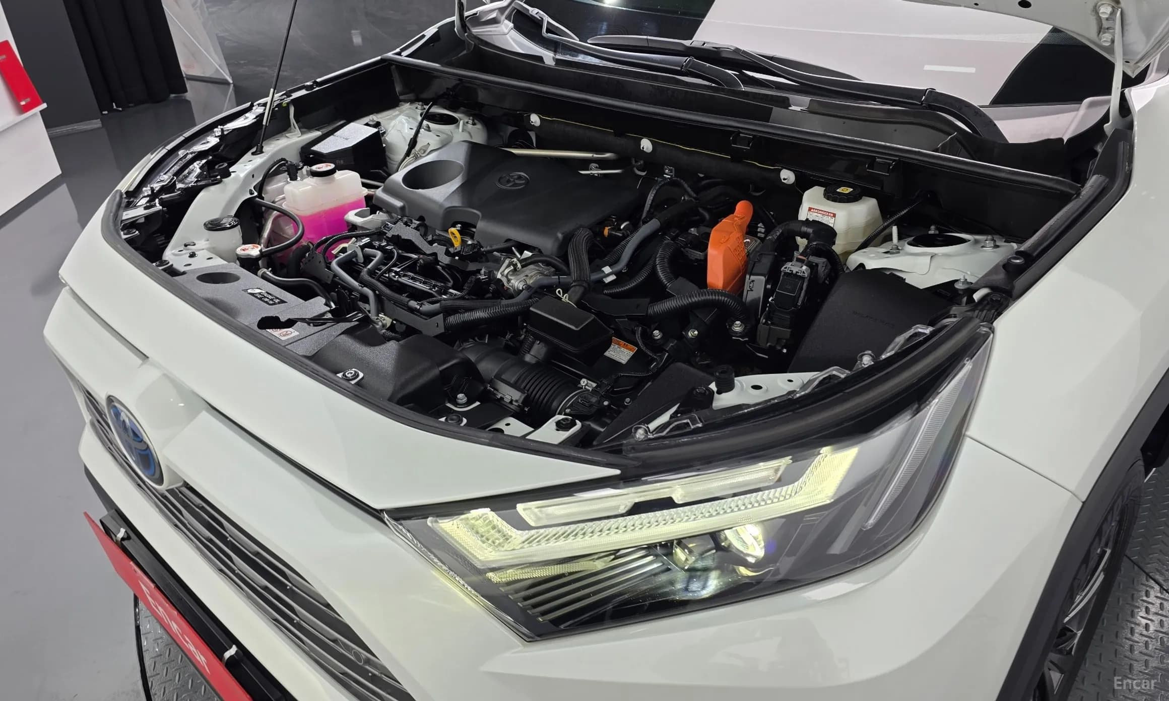 RAV4 5th Generation