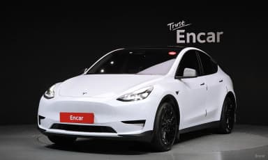 Model Y