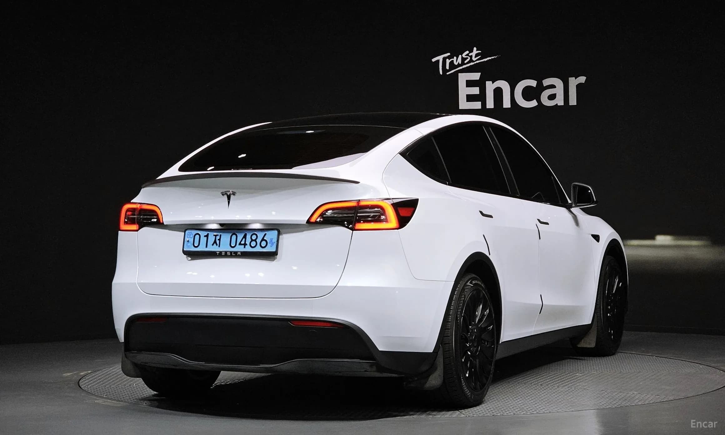 Model Y