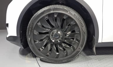 Model Y