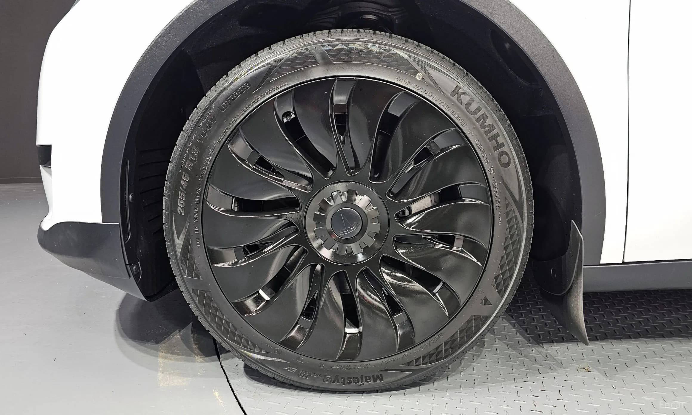 Model Y
