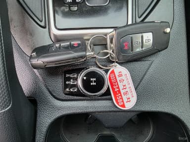 Rexton Sports