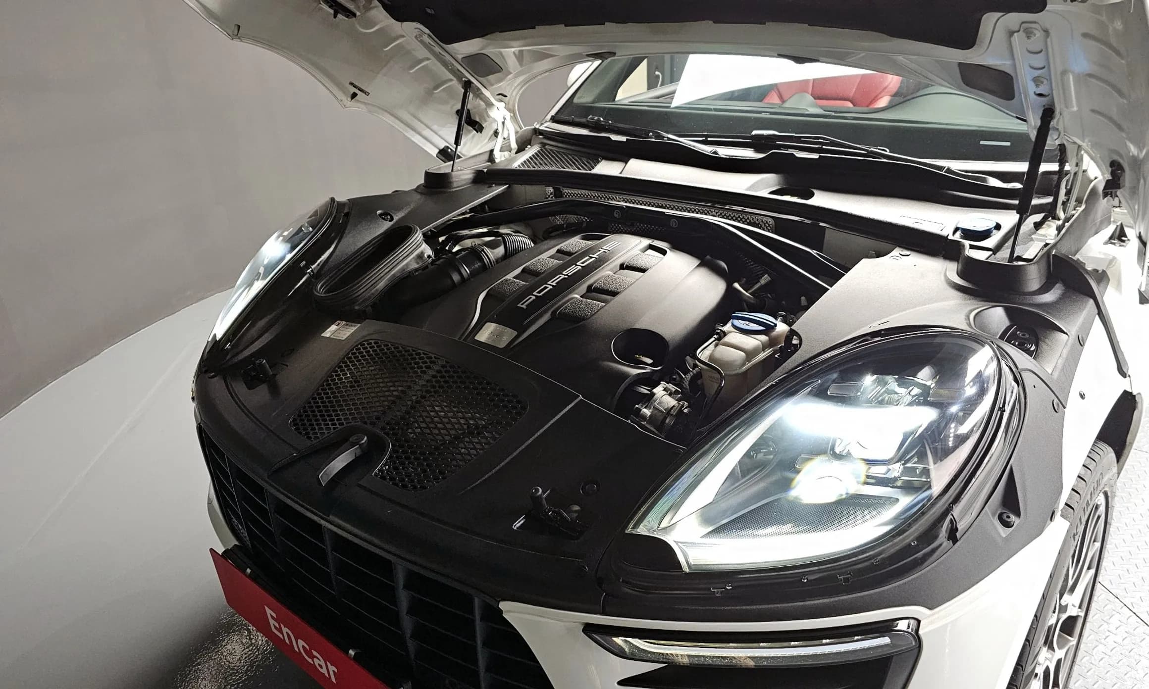 Macan