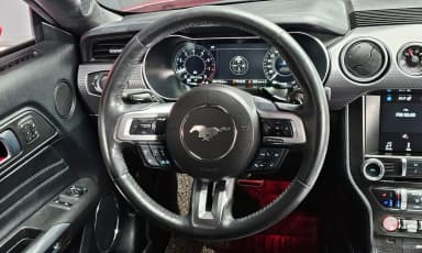 Mustang