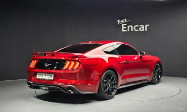 Mustang