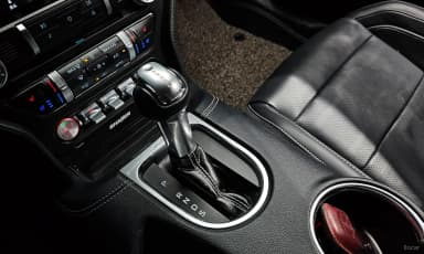 Mustang