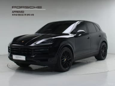 Cayenne (PO536)
