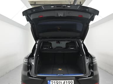 Cayenne (PO536)