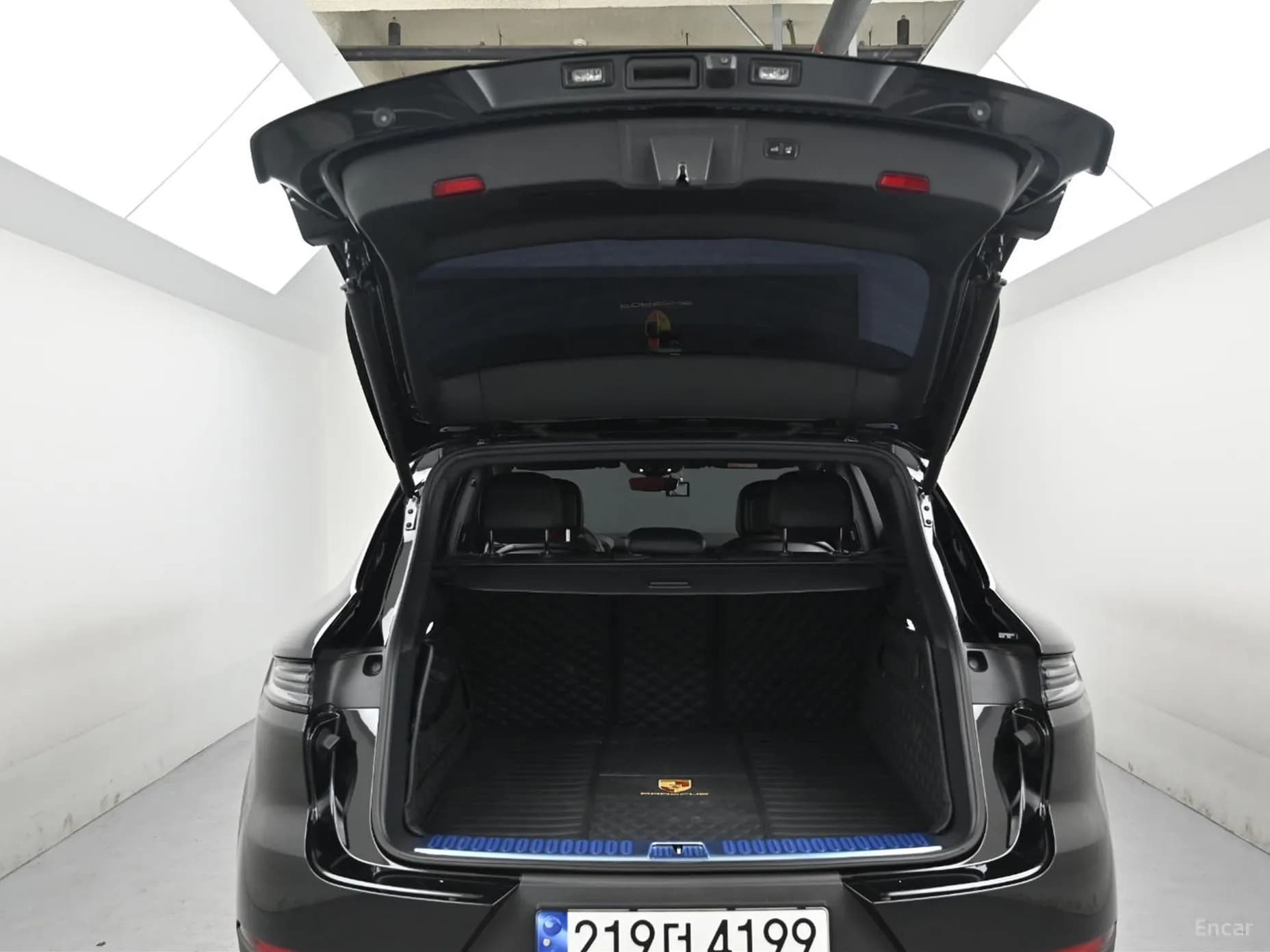 Cayenne (PO536)