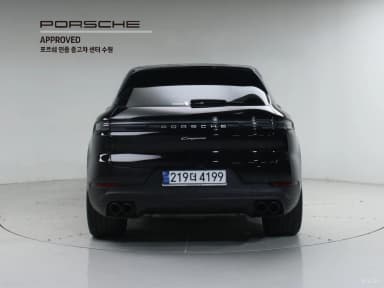 Cayenne (PO536)
