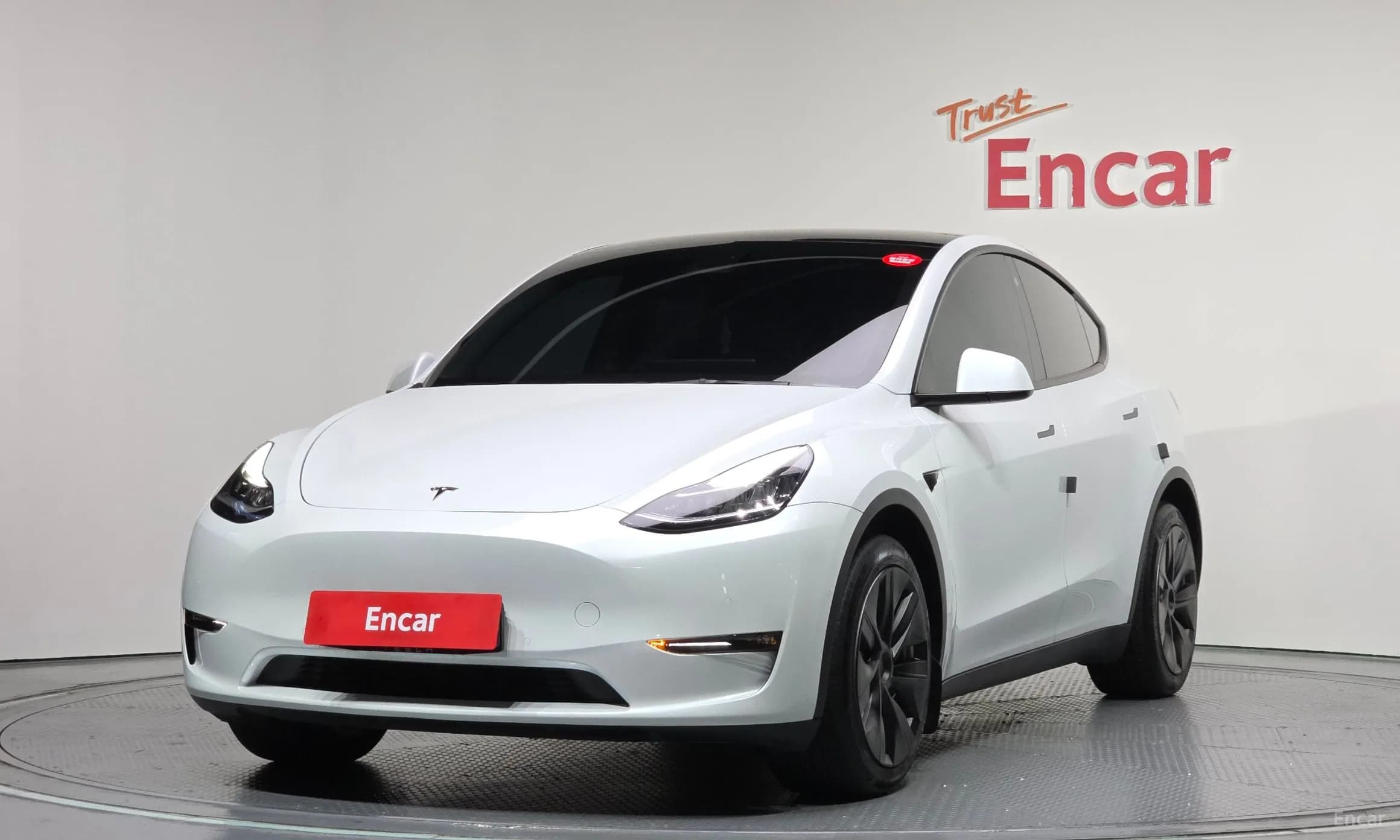 Model Y