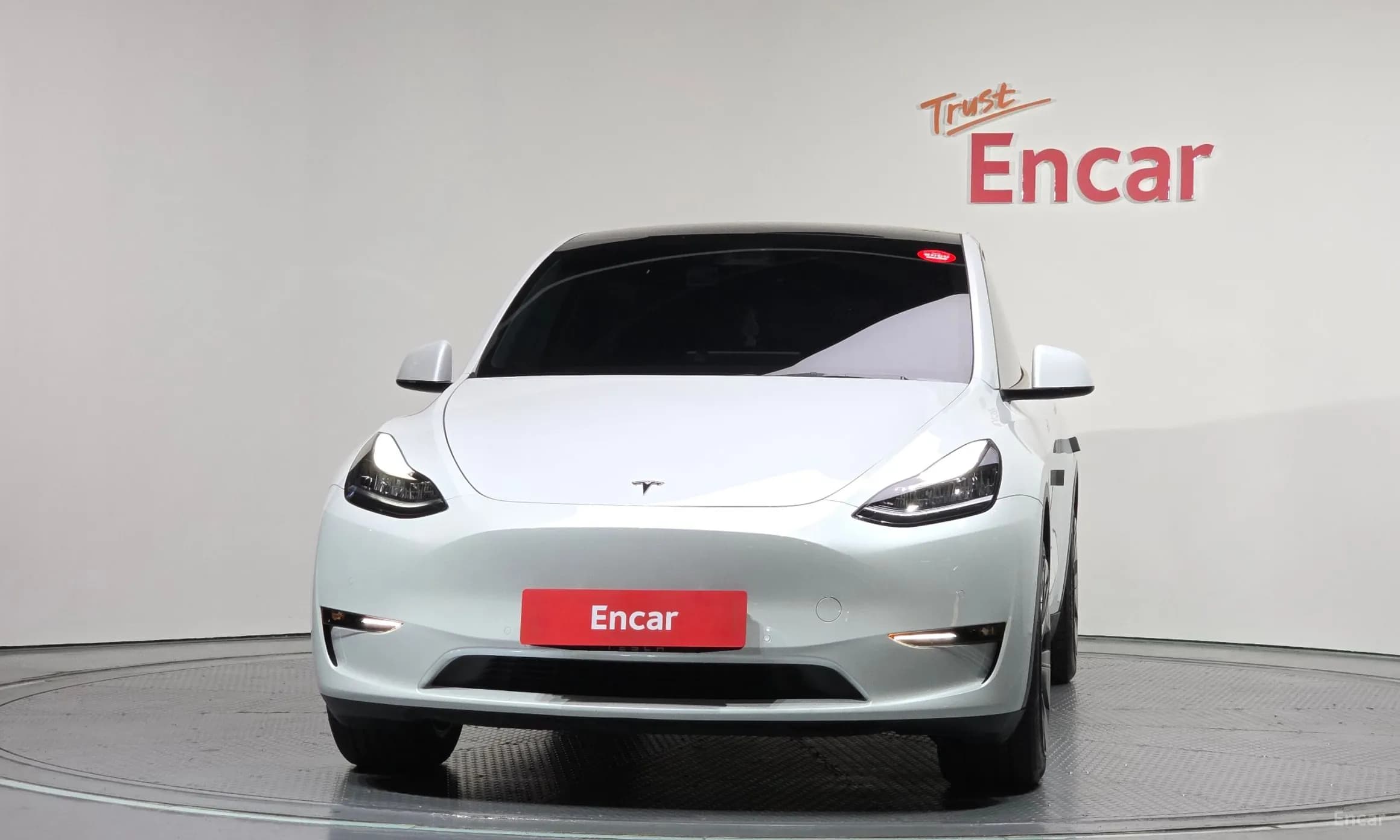 Model Y