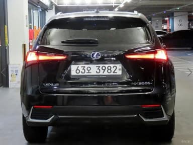 NX300