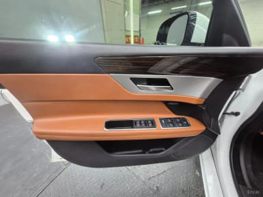 XF (x260)