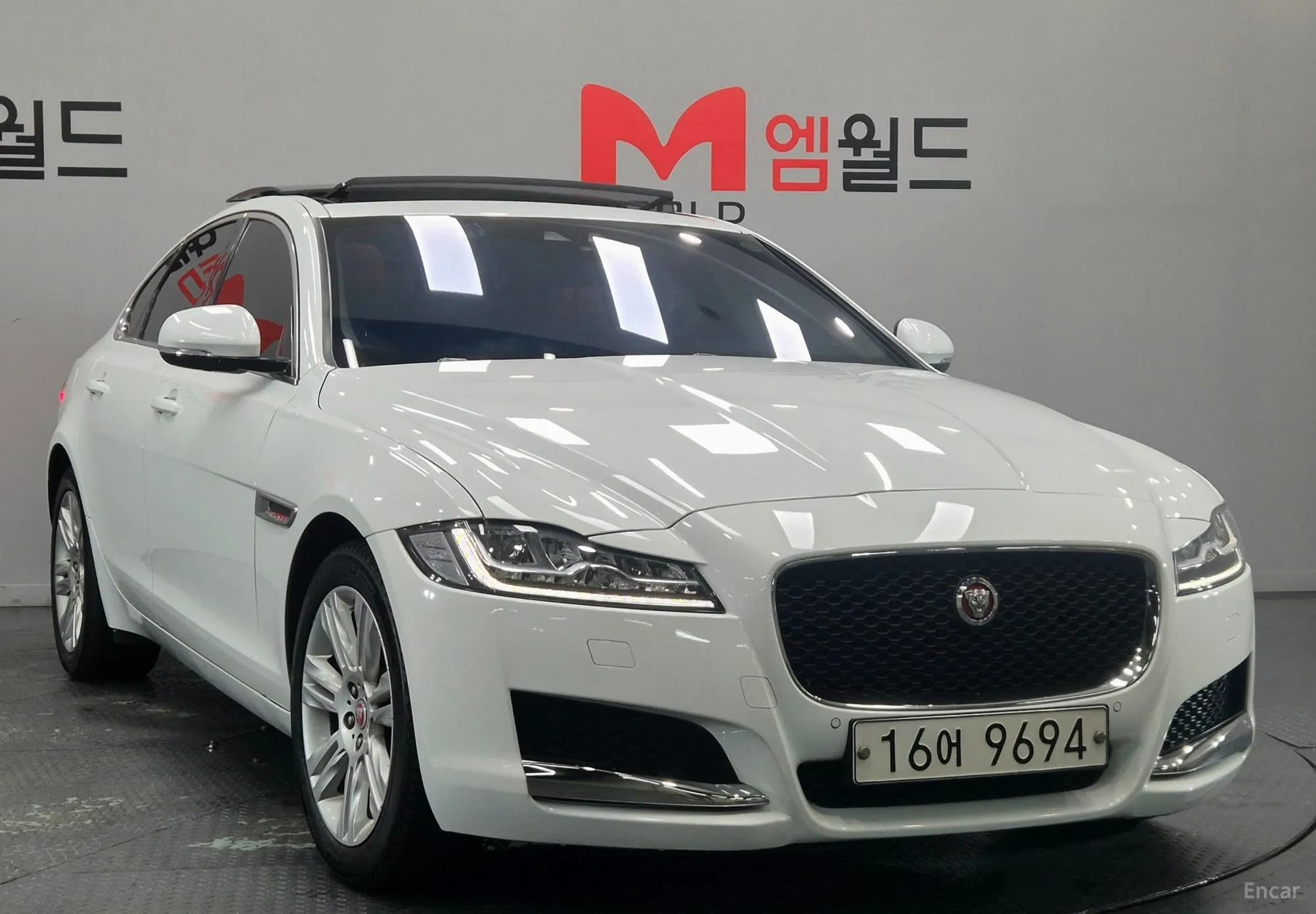 XF (x260)