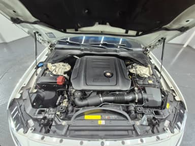 XF (x260)
