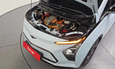 New bolt EV