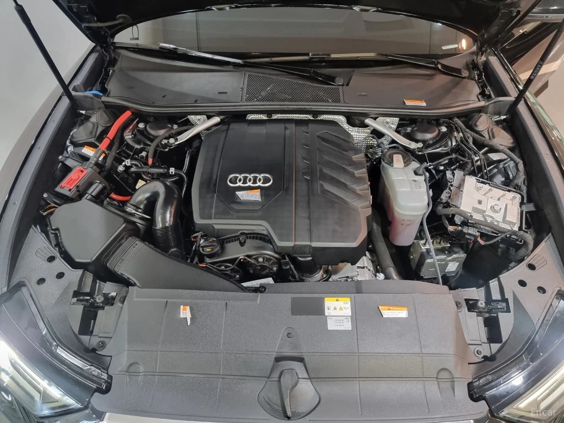 A6 (C8)