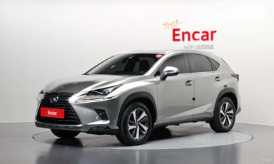 NX300h